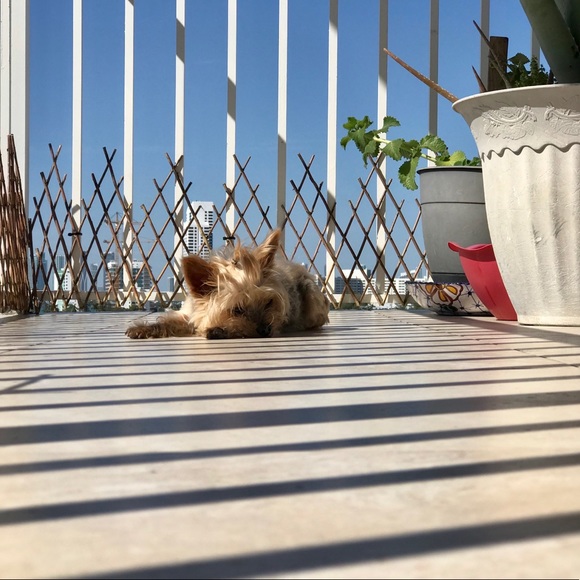 Always & Forever 💕🤍💚 - Picture 2 of 2